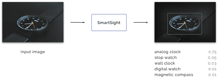 SmartSight data flow schema